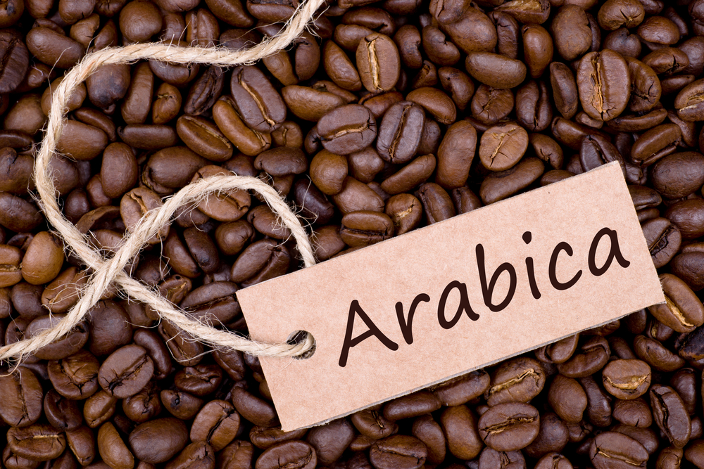 cà phê hạt rang Arabica - AnTháiCafé 500g