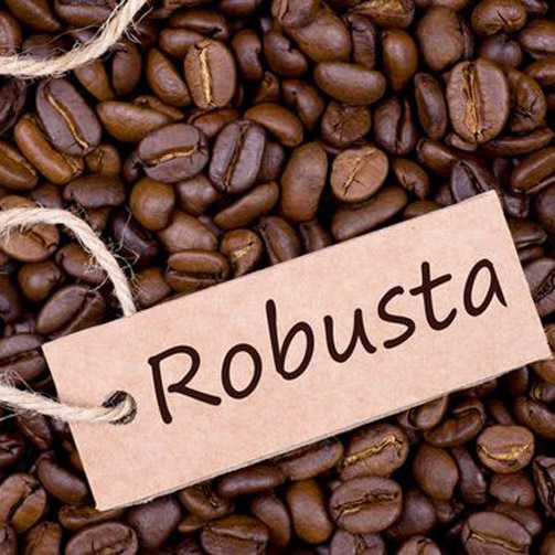 cà phê hạt rang Robusta - AnTháiCafé 500g