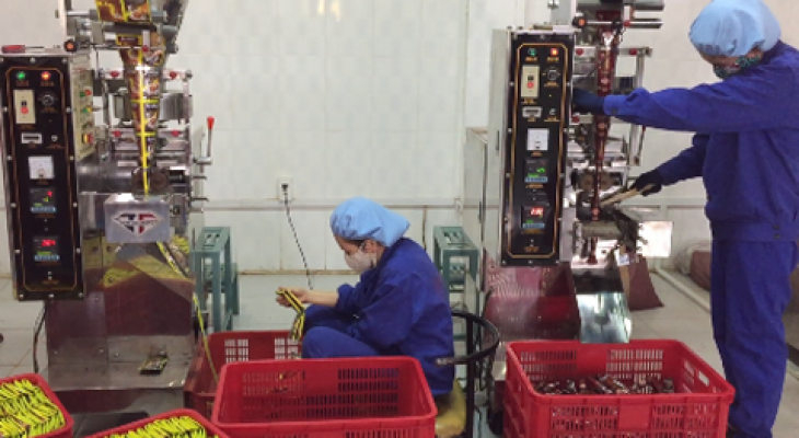 An Thai Cafe Hướng đến sản xuất cà phê theo quy trình khép kín